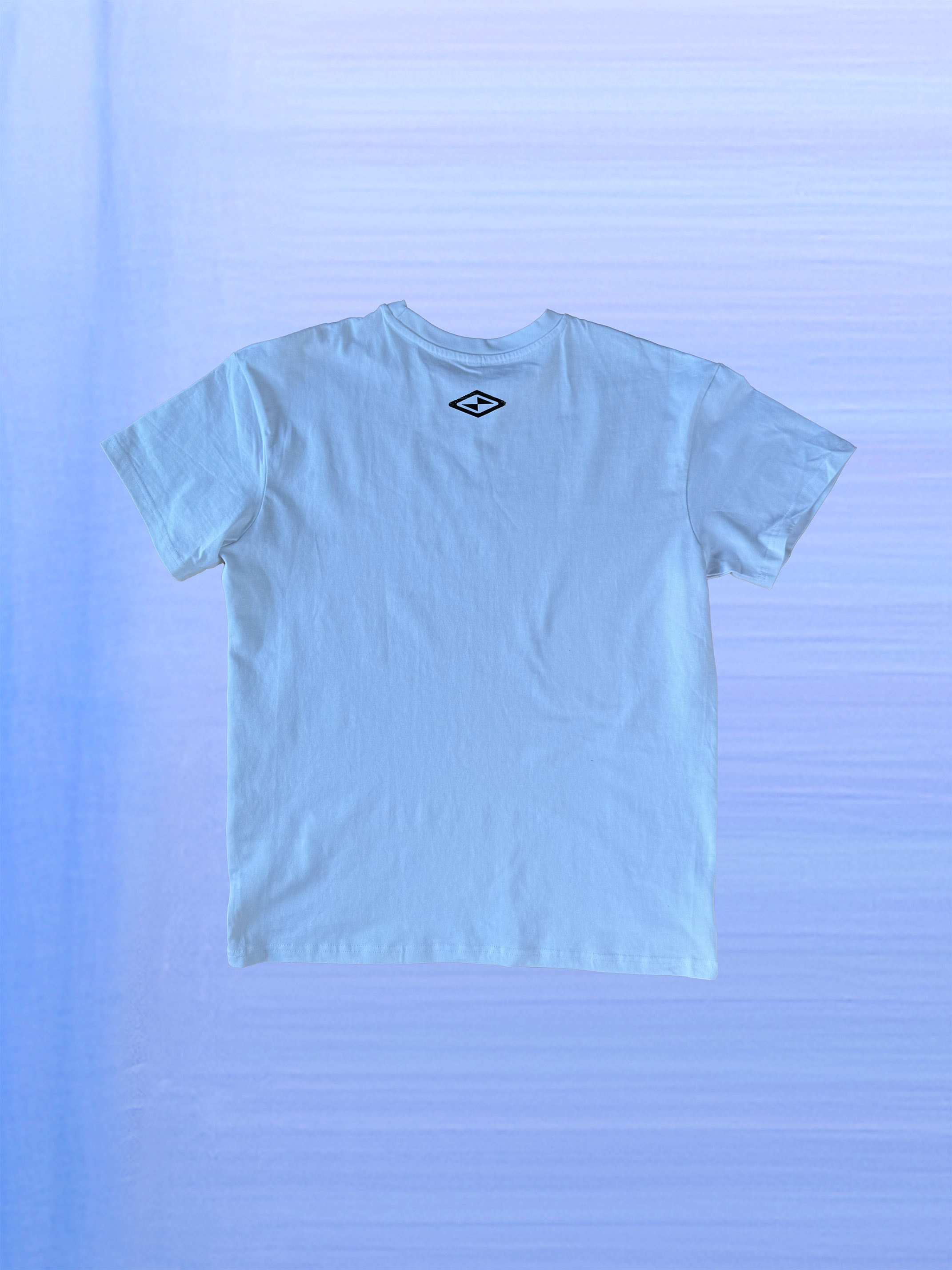 Brand rollout boards with vibrant typography